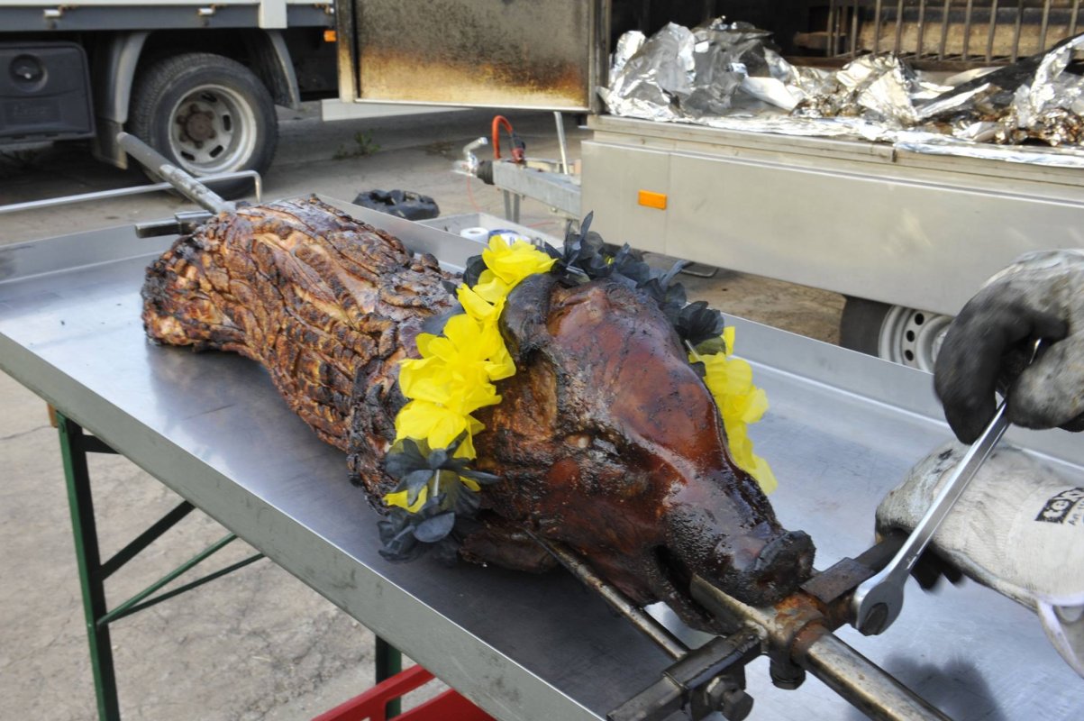 #ohnemampfkeinkampf #ohnemampfkeinkampf